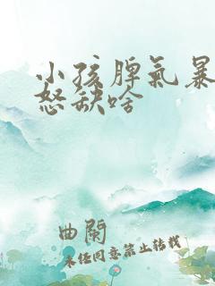 小孩脾气暴躁易怒缺啥