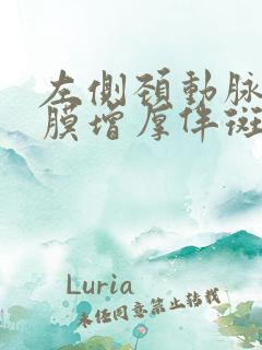 左侧颈动脉内中膜增厚伴斑块