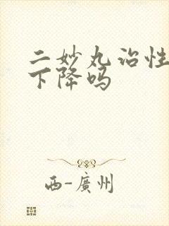 二妙丸治性功能下降吗