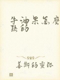 牛油果怎么挑选熟的