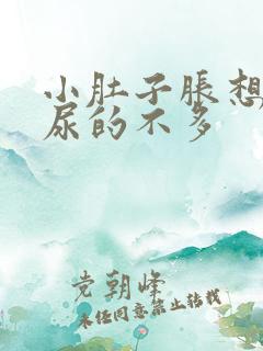 小肚子胀想尿却尿的不多