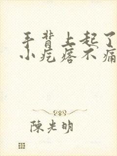 手背上起了好多小疙瘩不痛不痒