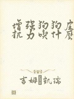 增强狗狗皮肤抵抗力吃什么能好