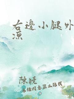 右边小腿外侧发凉