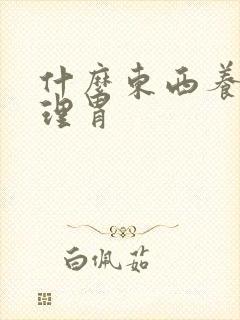 什么东西养胃调理胃