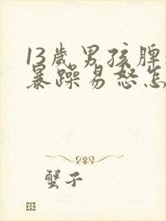 13岁男孩脾气暴躁易怒怎么办