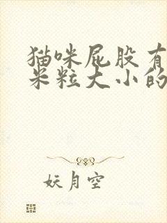 猫咪屁股有白色米粒大小的虫子