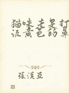 猫咪老是打喷嚏流黄色的鼻涕