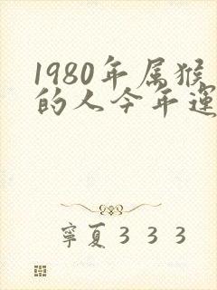 1980年属猴的人今年运气怎么样