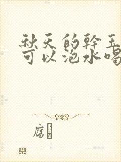 秋天的干玉米须可以泡水喝吗