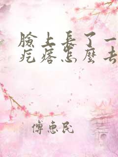 脸上长了一个肉疙瘩怎么去掉