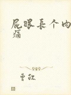 屁眼长个肉球疼痛