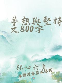 梦想与坚持议论文800字
