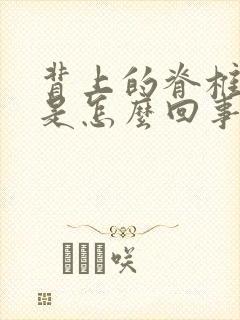 背上的脊椎骨疼是怎么回事