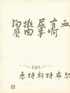 狗撒尿有血是怎么回事啊