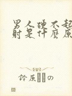 男人硬不起来就射是什么原因