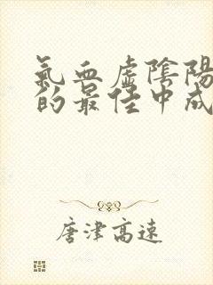 气血虚阴阳两虚的最佳中成药