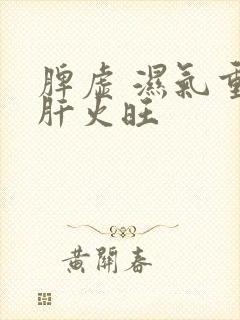 脾虚 湿气重 肝火旺