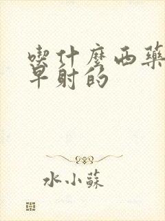 吃什么西药能治早射的