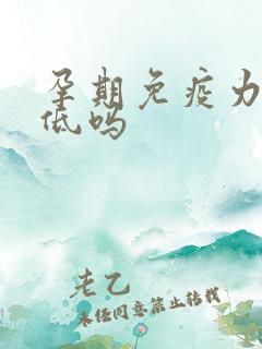 孕期免疫力会降低吗