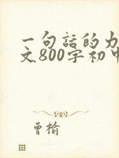 一句话的力量作文800字初中作文