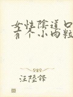 女性阴道口边上有个小肉粒