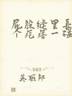 屁股缝里长了一个疙瘩一碰就疼