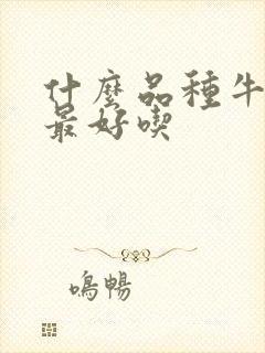 什么品种牛油果最好吃