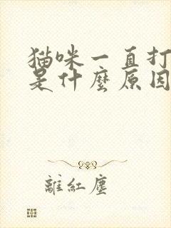 猫咪一直打呼噜是什么原因