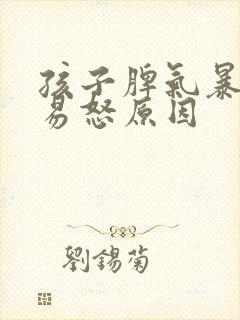 孩子脾气暴躁的易怒原因