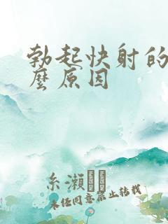 勃起快射的快什么原因