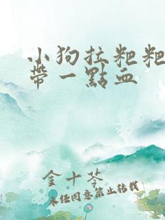 小狗拉粑粑最后带一点血