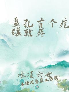 鼻孔有个疙瘩一碰就疼