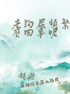 老狗尿频繁是怎么回事呢