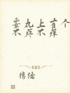 睾丸上有个疙瘩不疼不痒