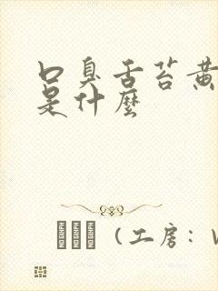 口臭舌苔黄厚腻是什么