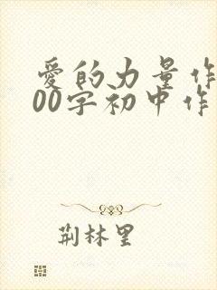 爱的力量作文800字初中作文