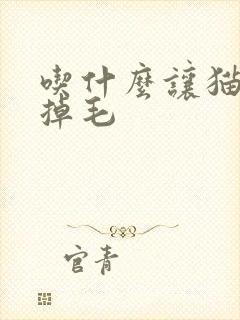 吃什么让猫咪少掉毛