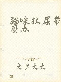 猫咪拉尿带血怎么办