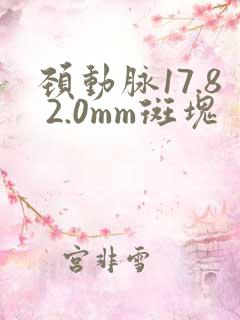 颈动脉17.8 2.0mm斑块