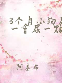 3个月小狗尿频一会尿一点