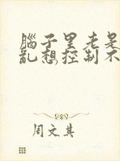 脑子里老是胡思乱想控制不住怎么办睡不着