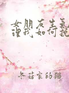 女朋友生气了不理我如何挽回