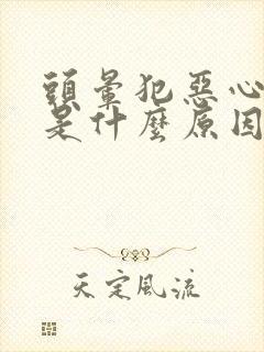 头晕犯恶心想吐是什么原因