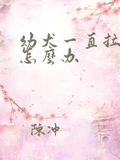 幼犬一直拉软便怎么办