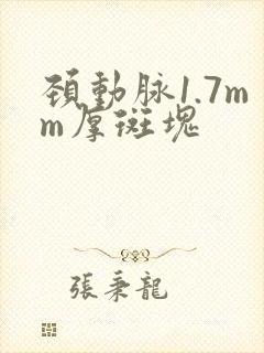 颈动脉1.7mm厚斑块