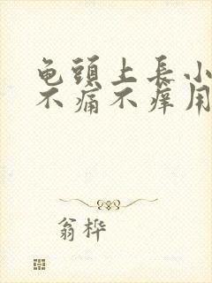 龟头上长小疙瘩不痛不痒用什么药