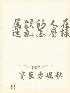 属猴的人在蛇年运气怎么样