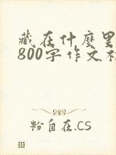 藏在什么里的爱800字作文初中