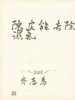 陈皮能去除体内湿气